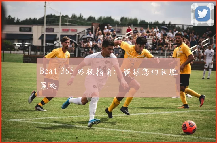 Beat 365 终极指南：解锁您的获胜策略