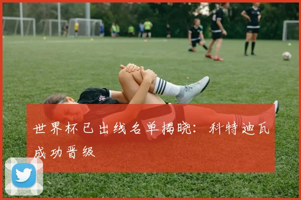世界杯已出线名单揭晓：科特迪瓦成功晋级