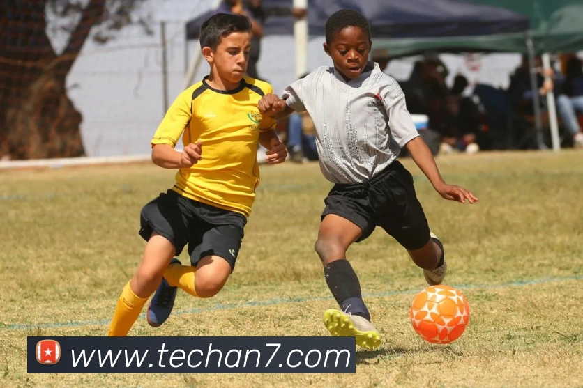 多媒体互动体验